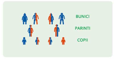 genetica deficit de carnitina