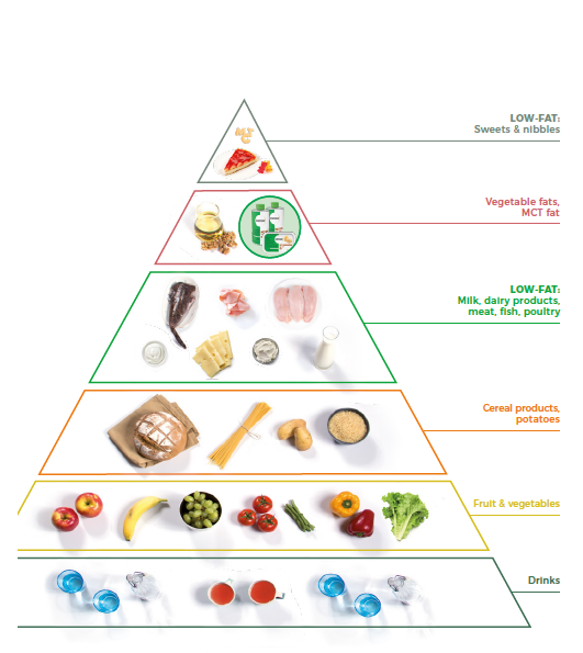 piramida alimente